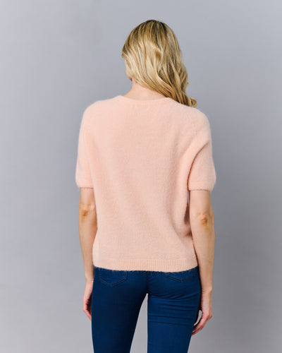 Apricot